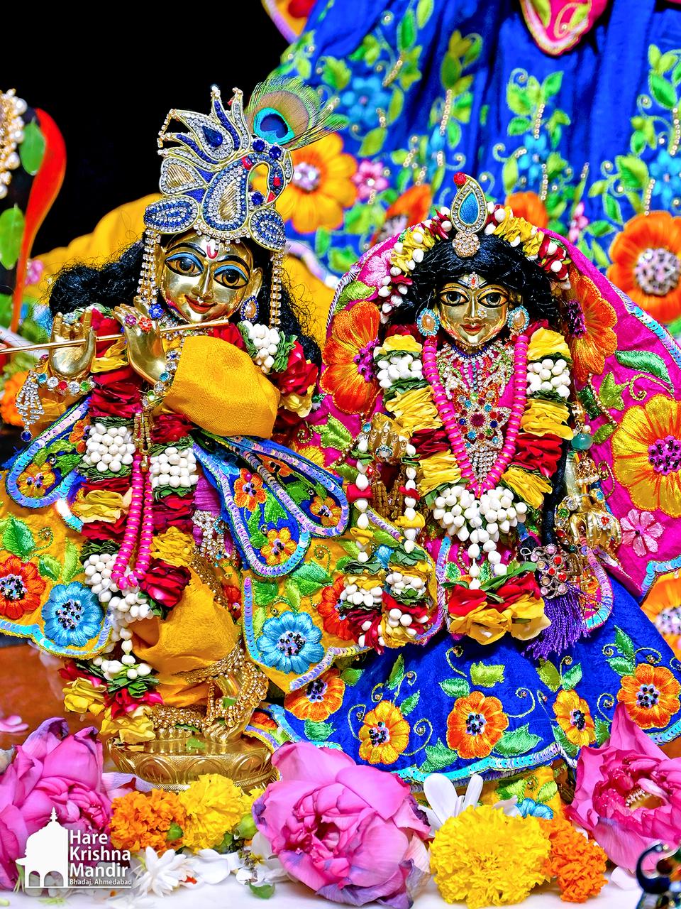 2026-05-11 Darshan